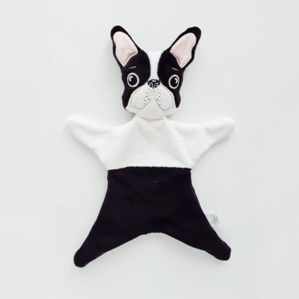 Tuliś Buldog - Jak Boston Terrier